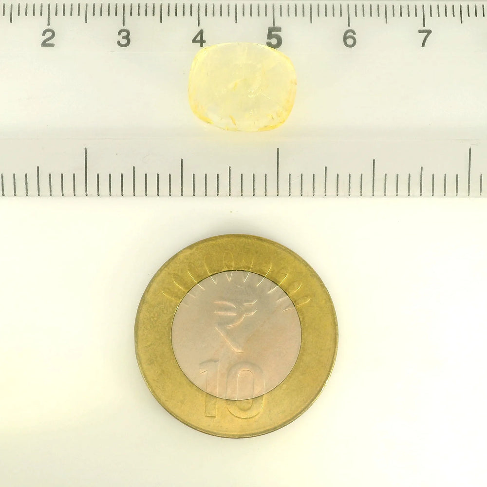 IIGJ_54761_SCALE.webp