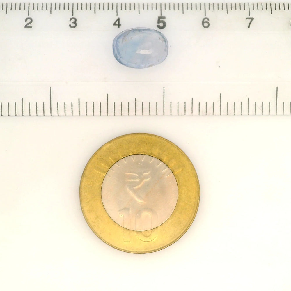 IIGJ_56527_SCALE.webp