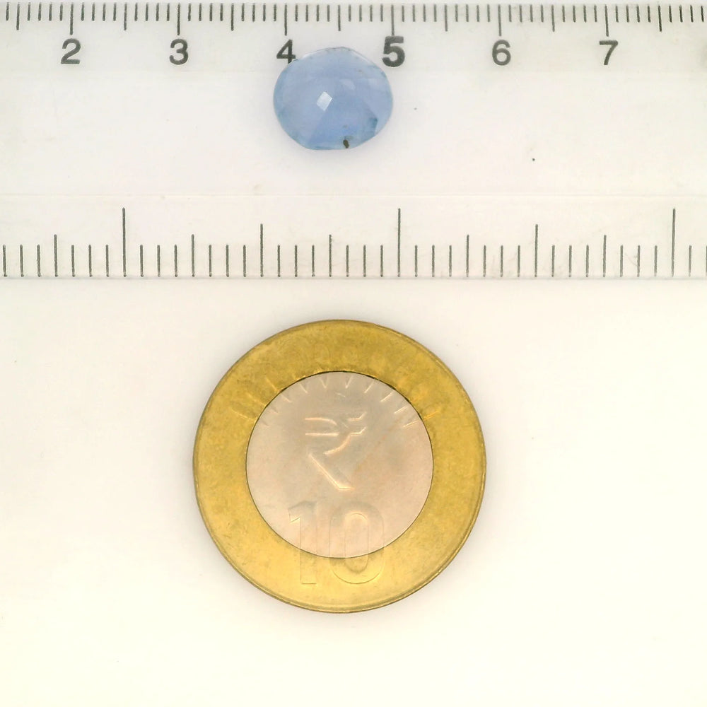 IIGJ_56528_SCALE.webp