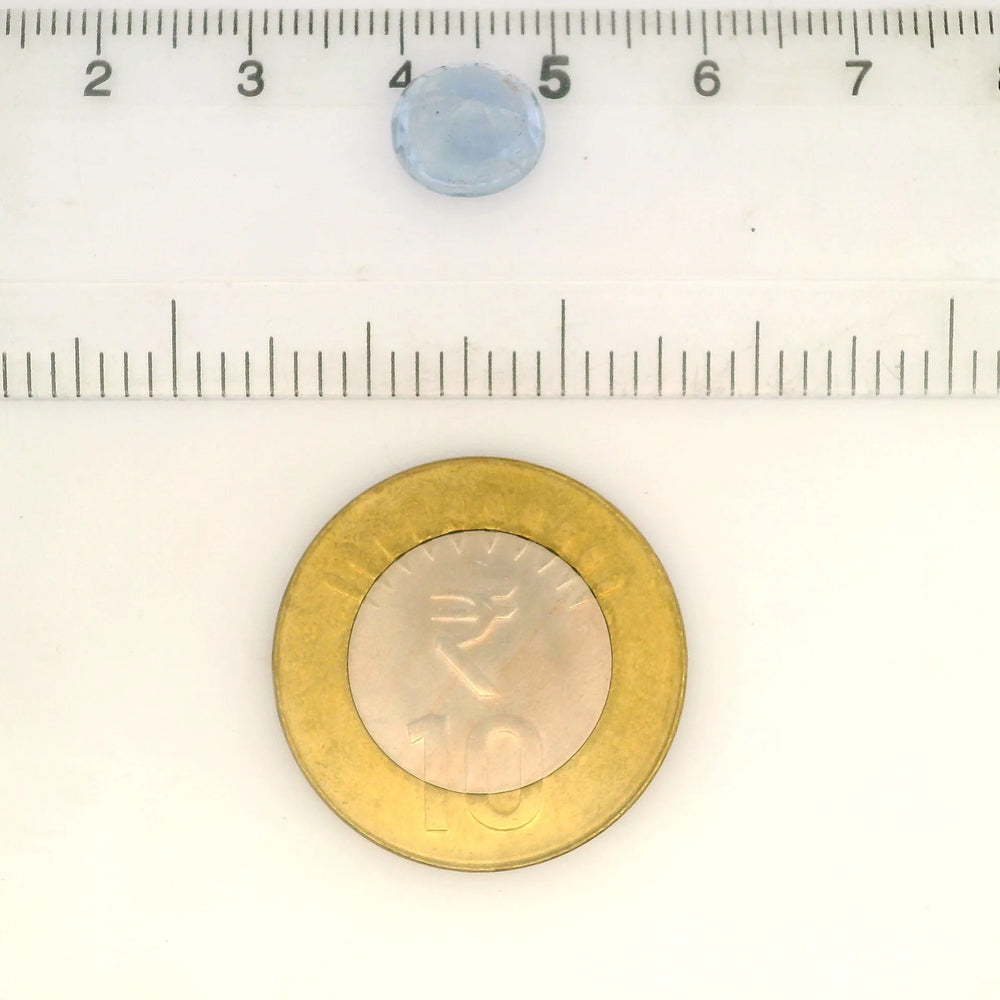 IIGJ_56531_SCALE.webp