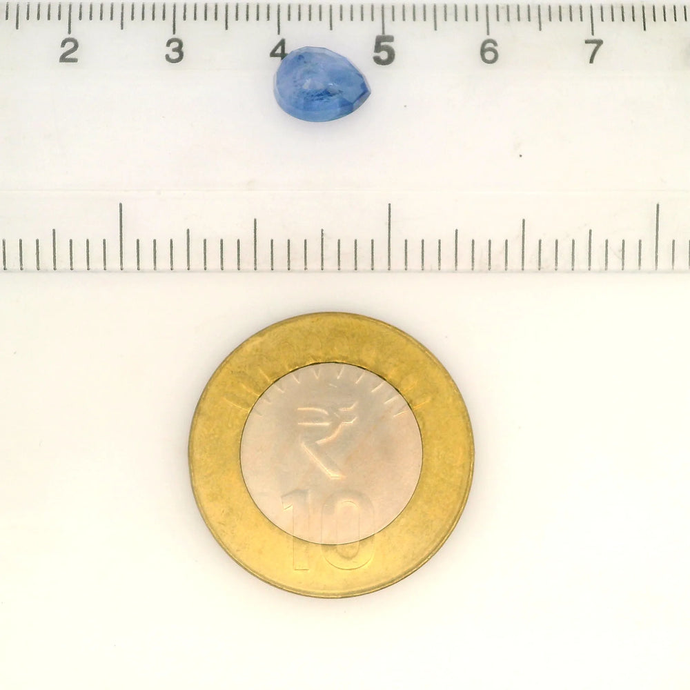 IIGJ_56533_SCALE.webp