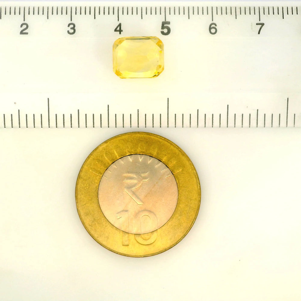 IIGJ_56564_SCALE.webp