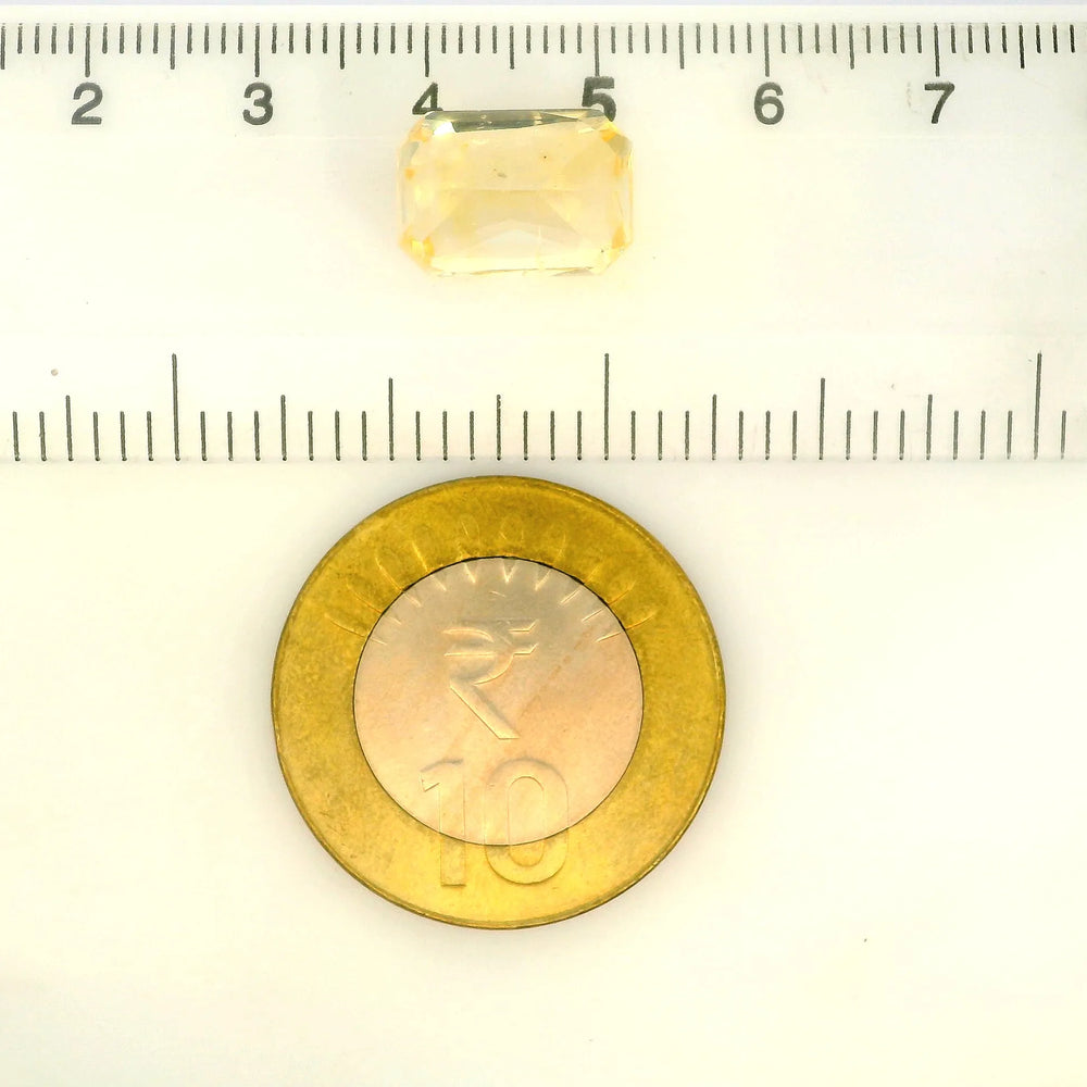 IIGJ_56567_SCALE.webp
