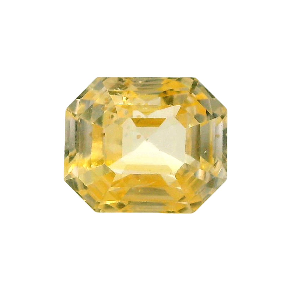 IIGJ_56568_FRONT.png