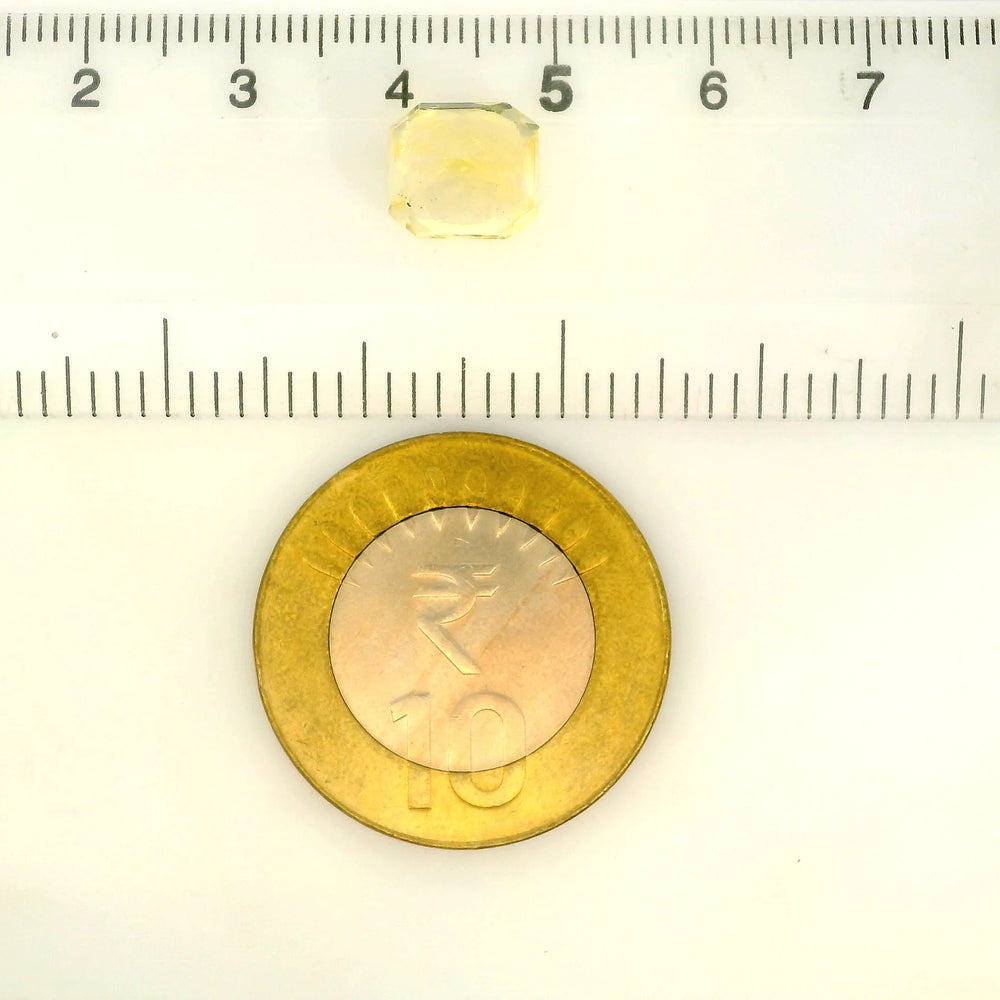 IIGJ_56570_SCALE.webp