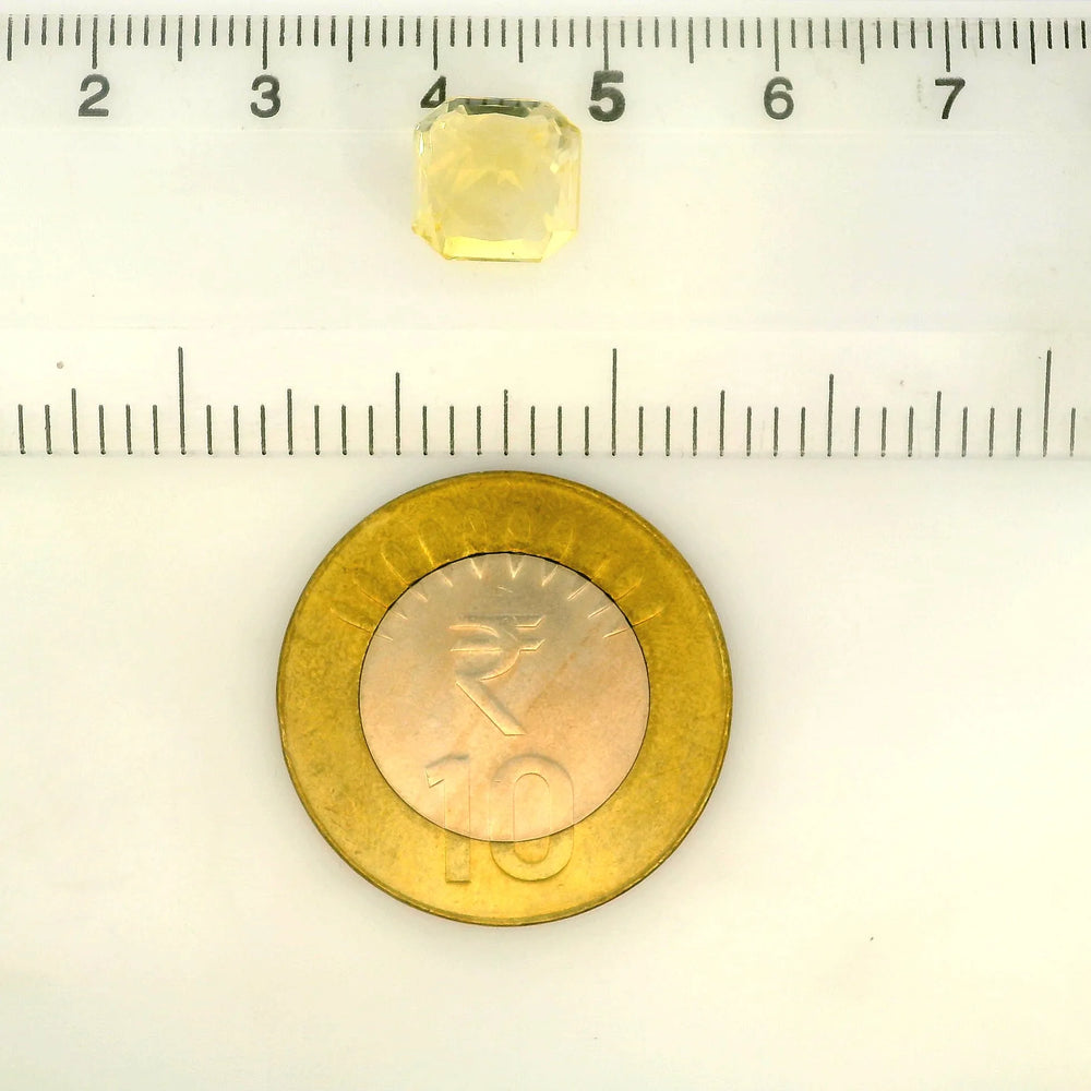 IIGJ_56572_SCALE.webp