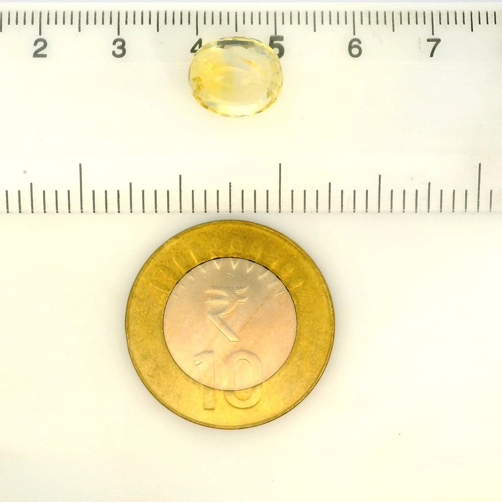 IIGJ_56573_SCALE.webp