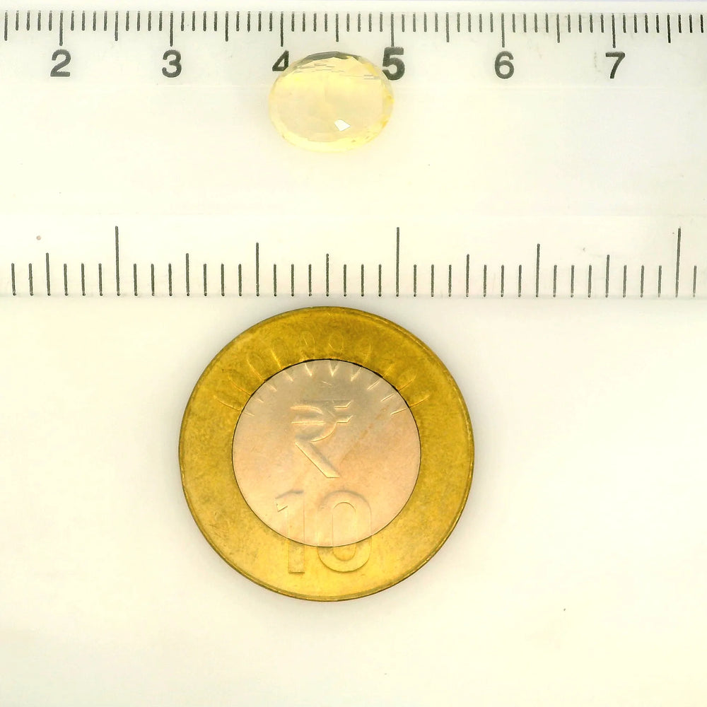 IIGJ_56575_SCALE.webp