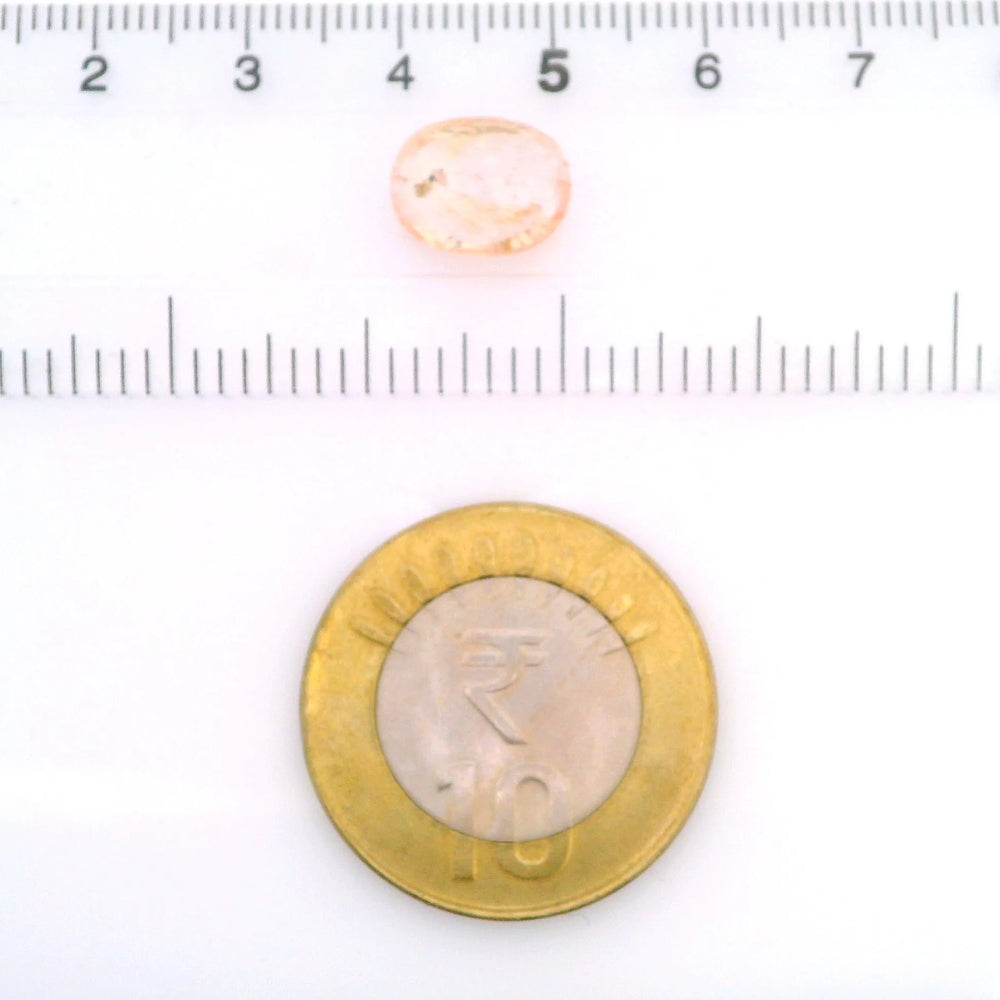 IIGJ_8975D36539_SCALE.webp