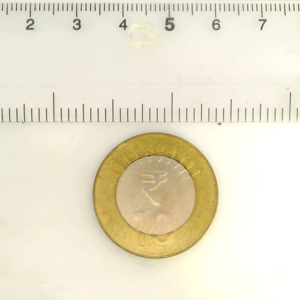 ITLGR_100346_SCALE.webp