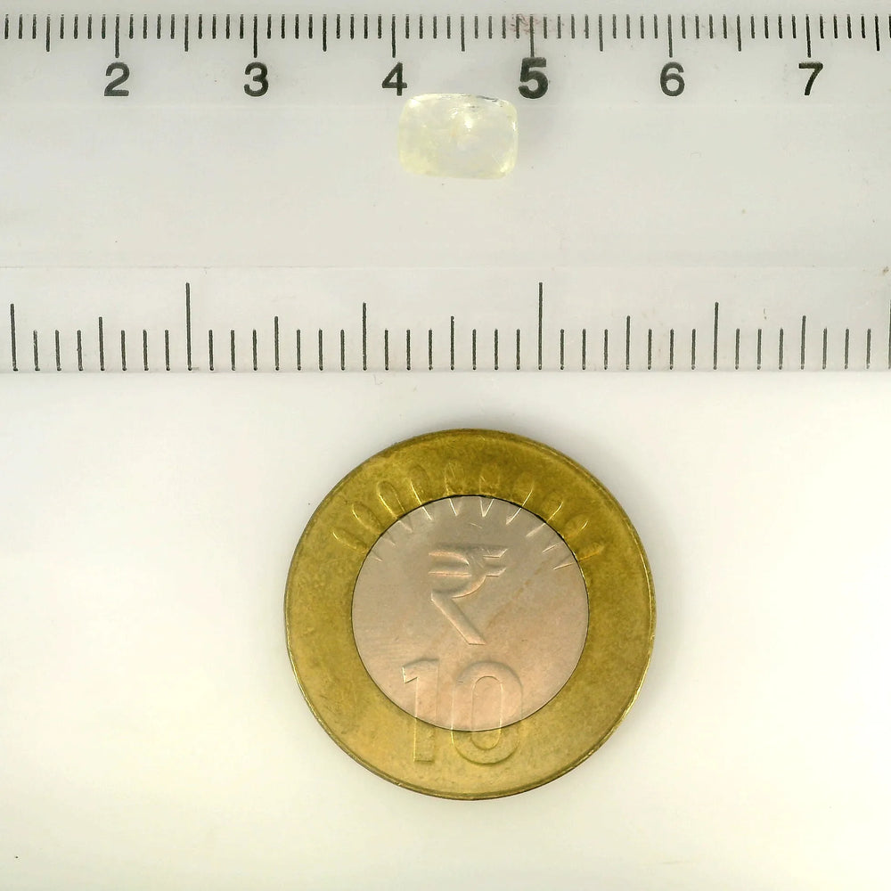 ITLGR_100356_SCALE.webp