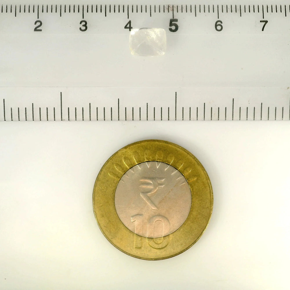 ITLGR_100357_SCALE.webp