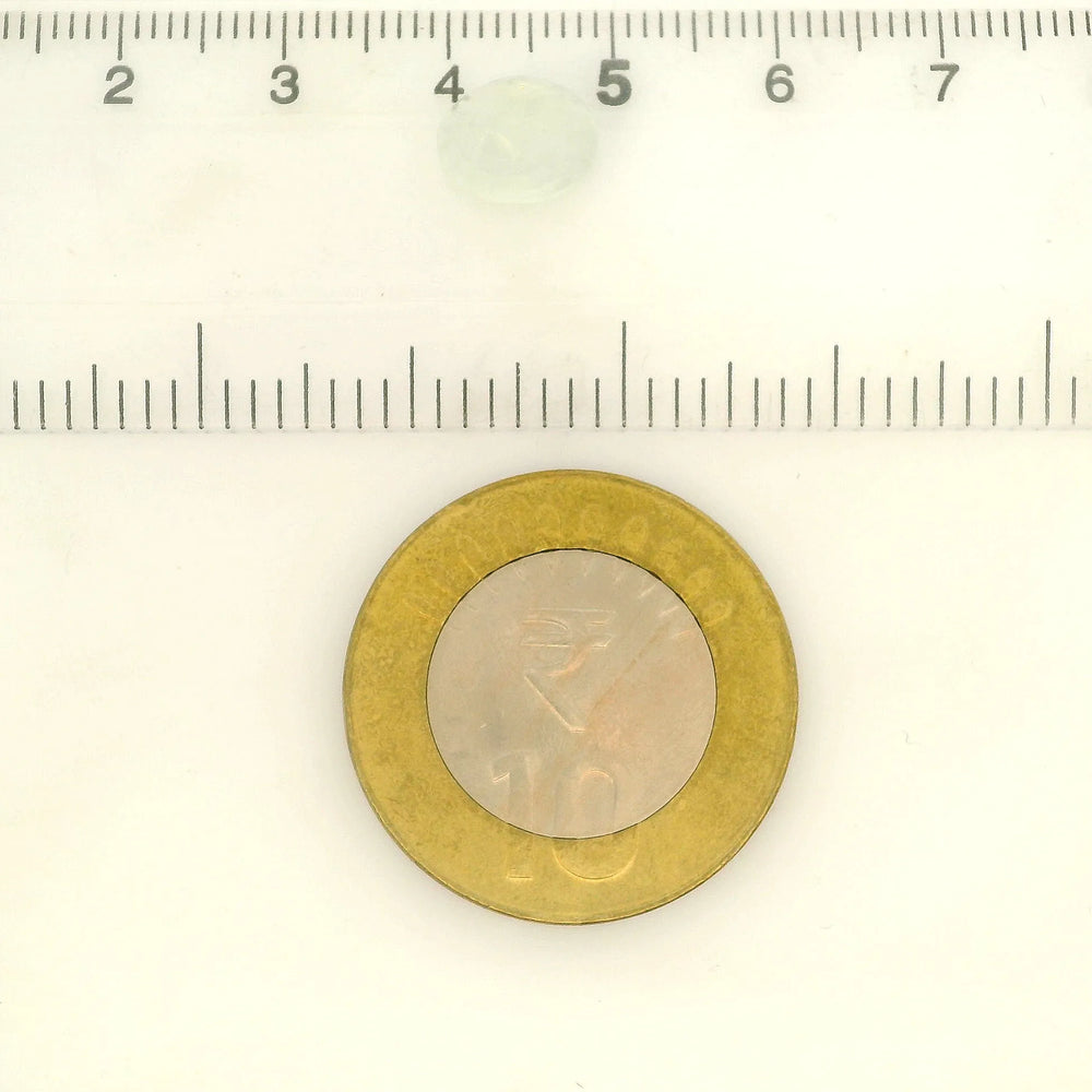 ITLGR_100448_SCALE.webp