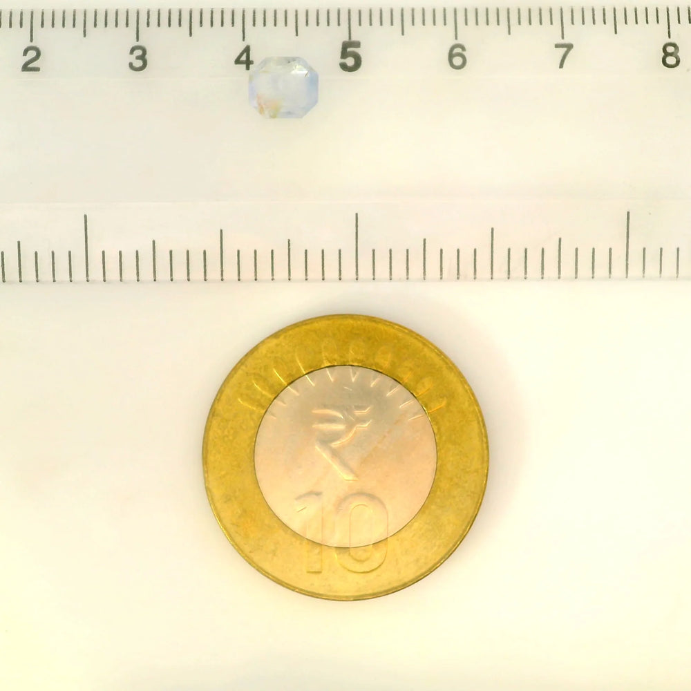 ITLGR_100467_SCALE.webp