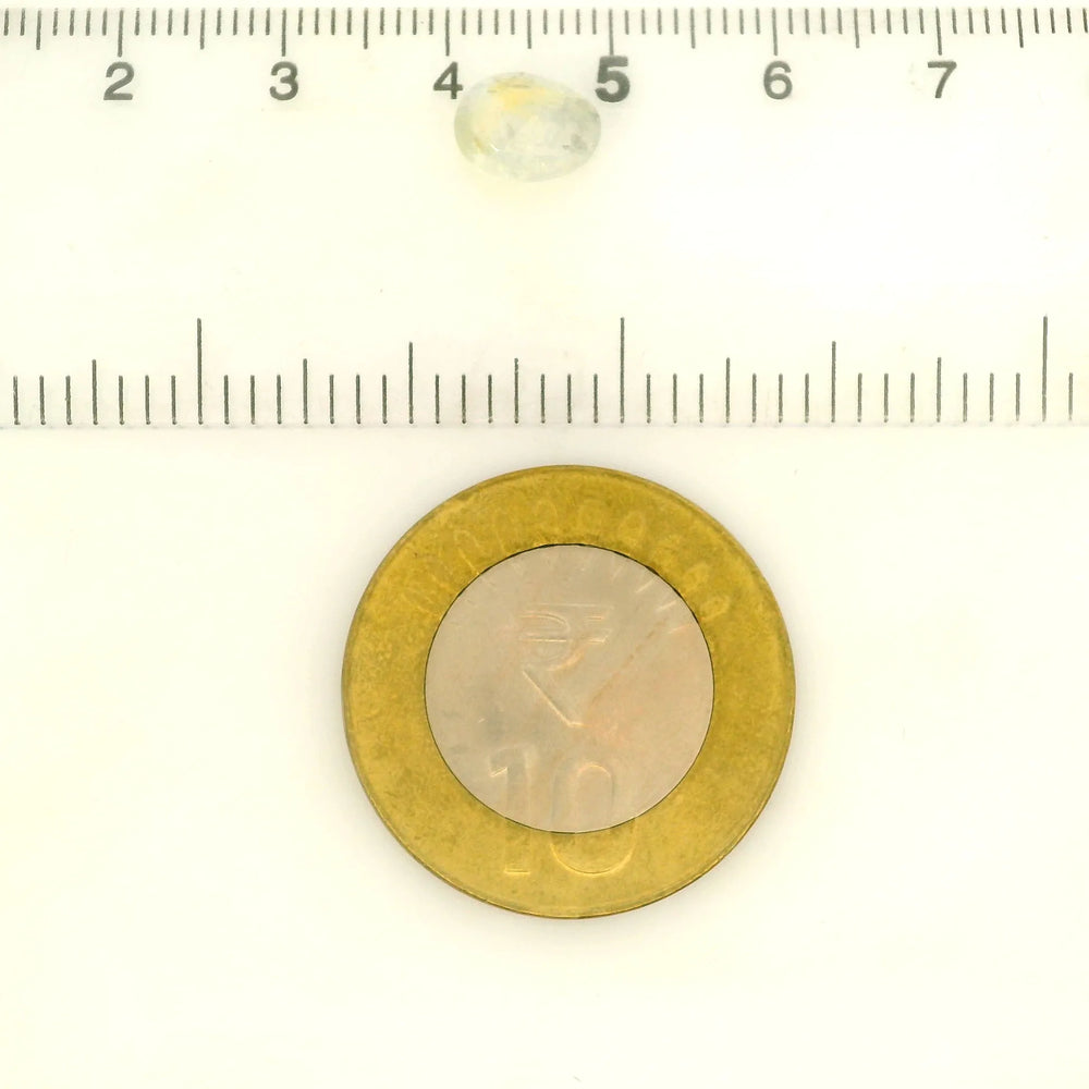 ITLGR_100482_SCALE.webp