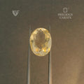 ITLGR_101532_TOP.webp
