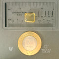 ITLGR_101557_SCALE.webp