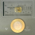 ITLGR_101562_SCALE.webp