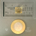 ITLGR_101570_SCALE.webp