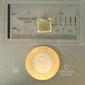 ITLGR_101571_SCALE.webp