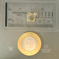 ITLGR_101578_SCALE.webp