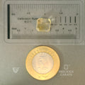 ITLGR_101579_SCALE.webp