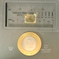 ITLGR_101581_SCALE.webp
