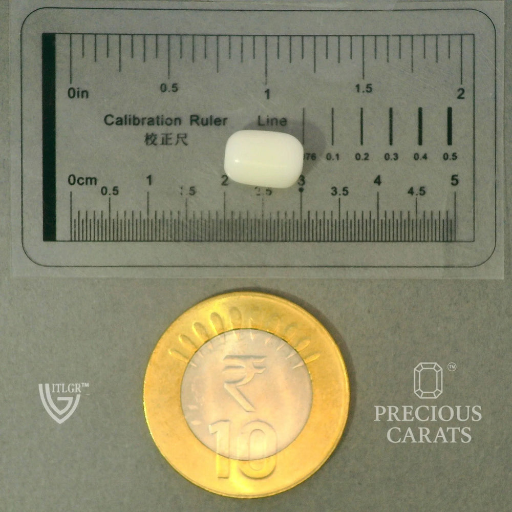 ITLGR_102038_SCALE.webp