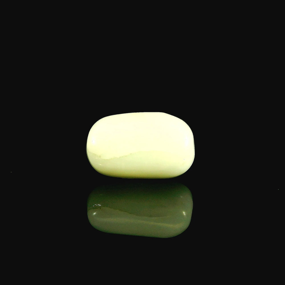 ITLGR_102039_FRONT_BG.webp