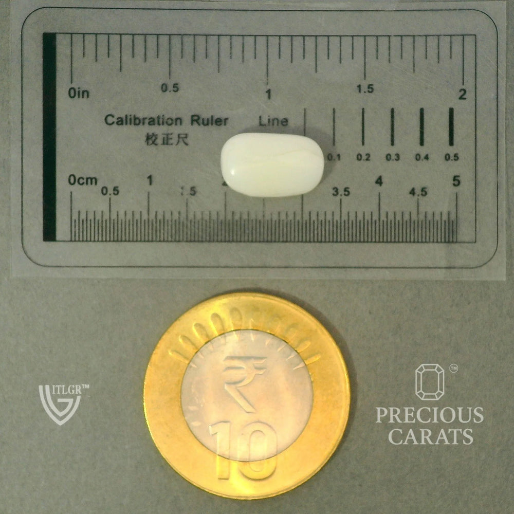 ITLGR_102039_SCALE.webp