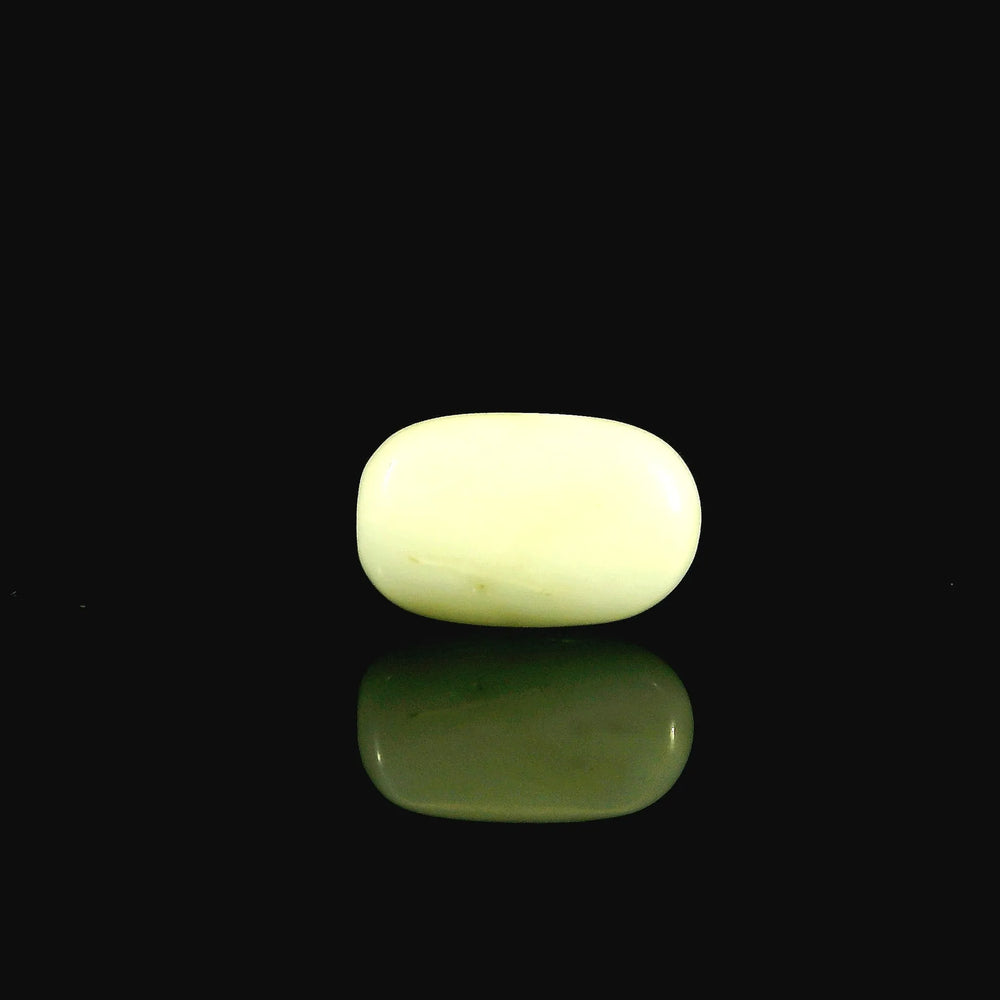 ITLGR_102040_BACK.webp