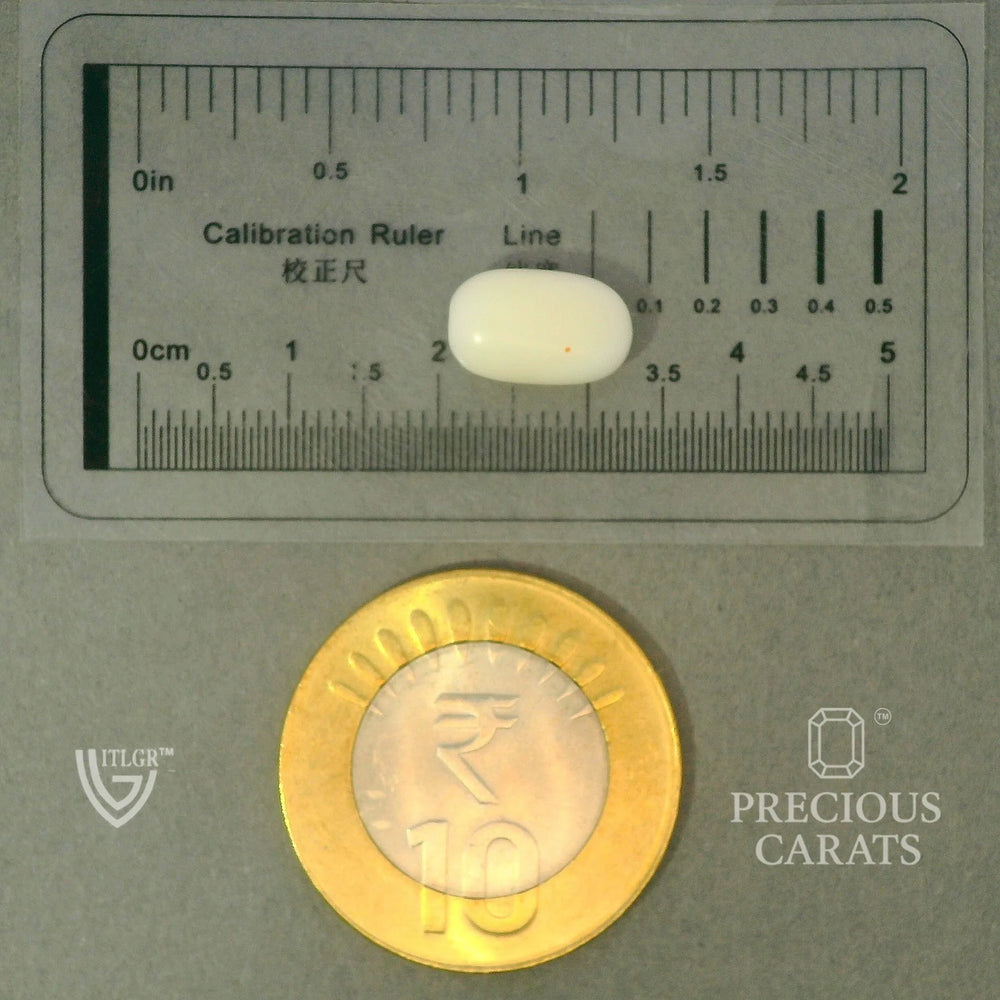 ITLGR_102040_SCALE.webp