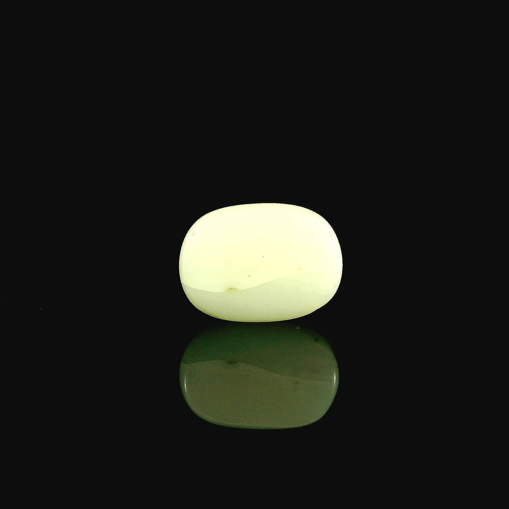 ITLGR_102042_BACK.webp
