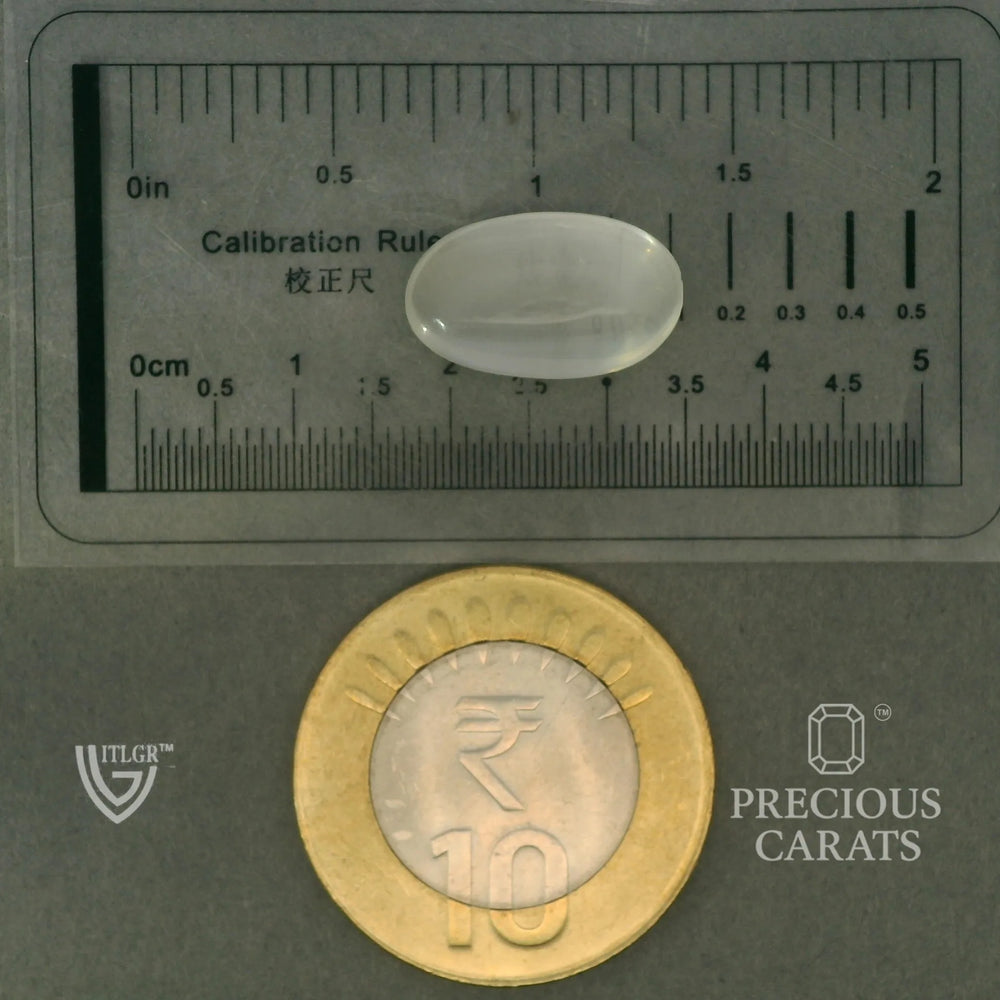 ITLGR_102045_SCALE.webp