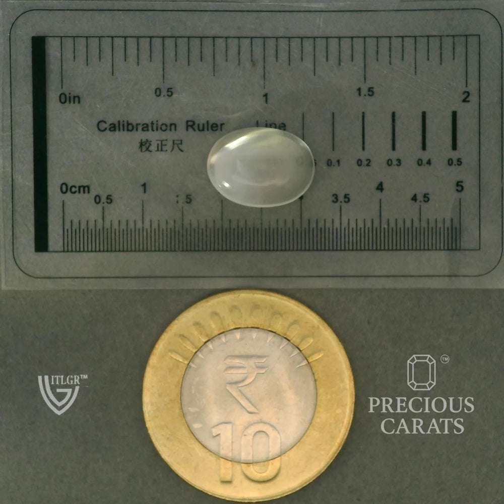 ITLGR_102049_SCALE.webp