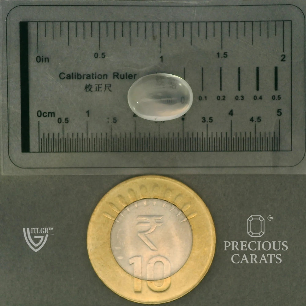 ITLGR_102052_SCALE.webp