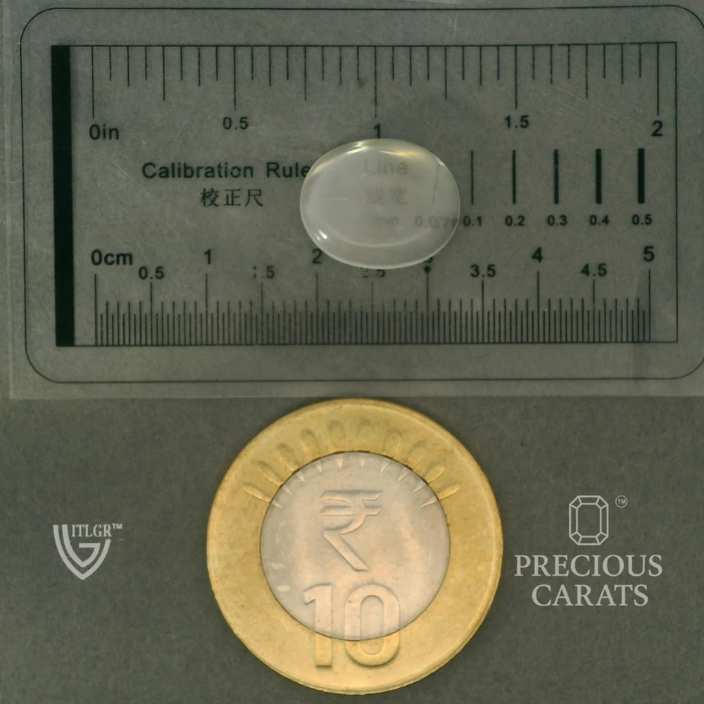 ITLGR_102055_SCALE.webp
