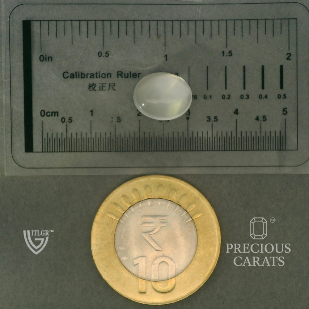ITLGR_102057_SCALE.webp
