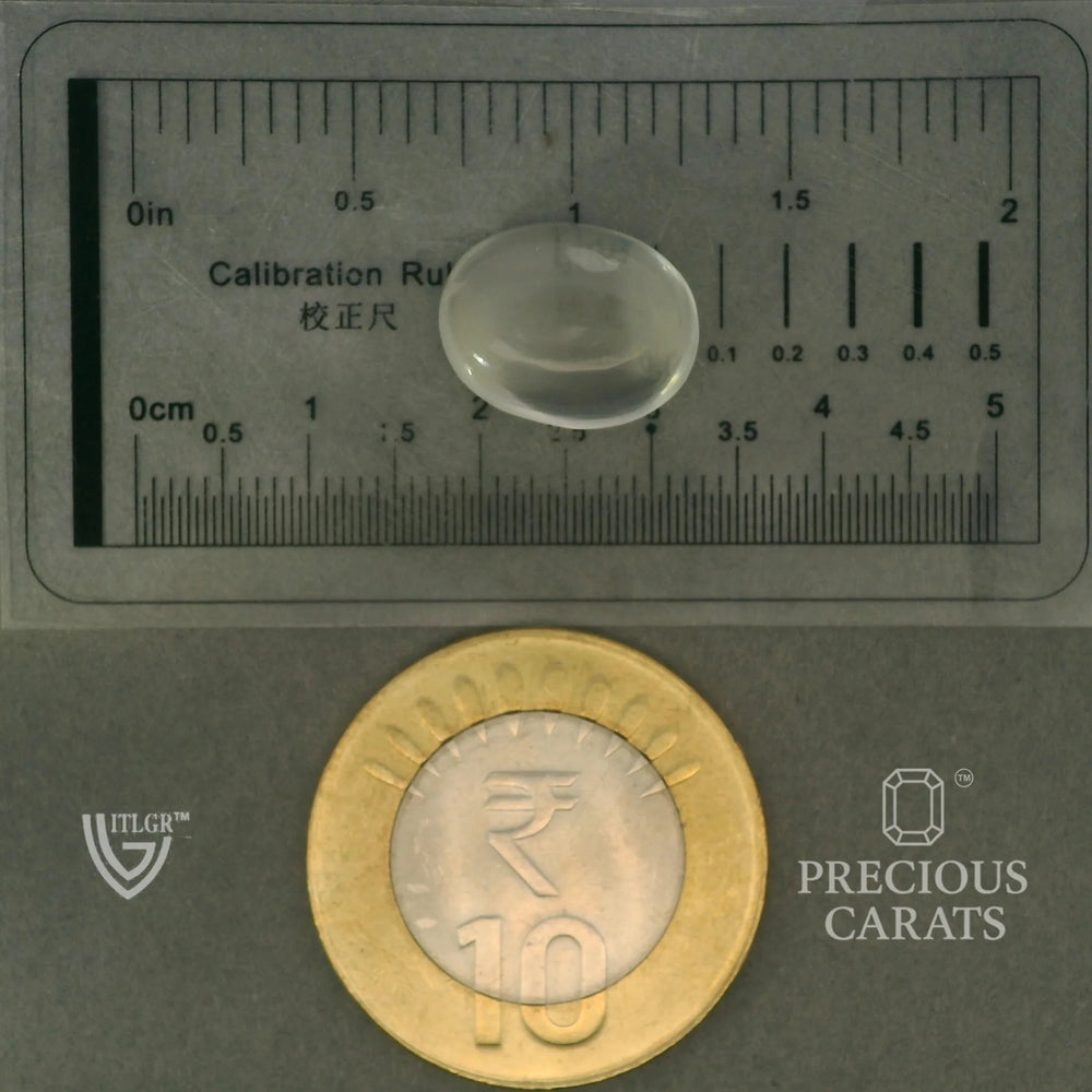 ITLGR_102059_SCALE.webp