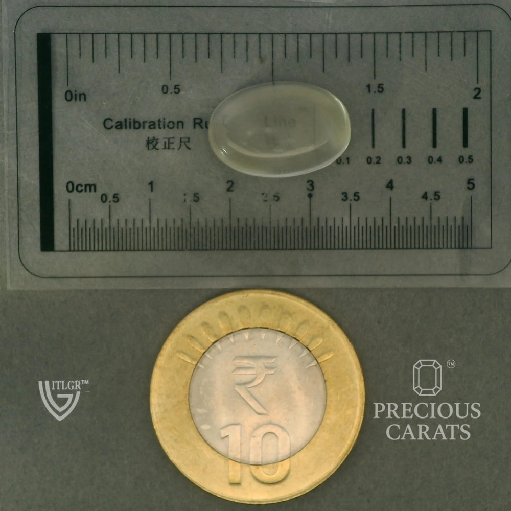 ITLGR_102064_SCALE.webp