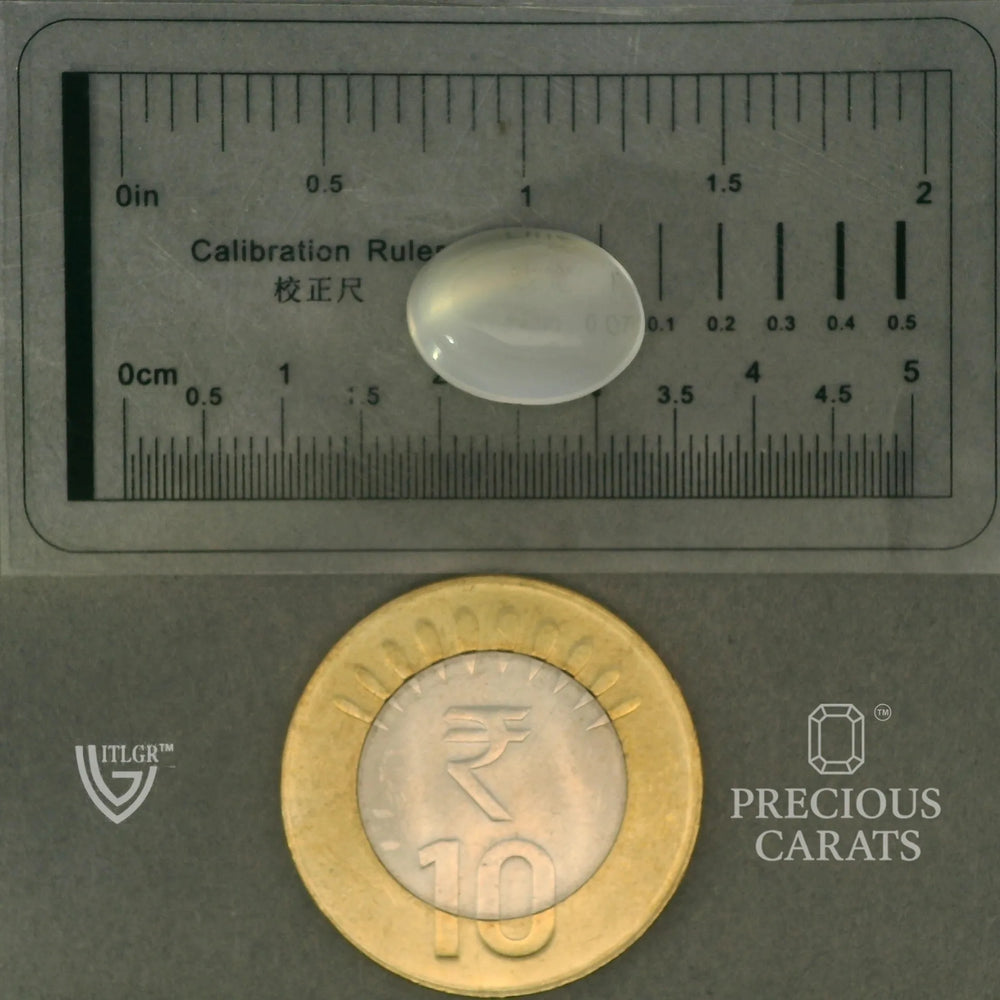 ITLGR_102066_SCALE.webp