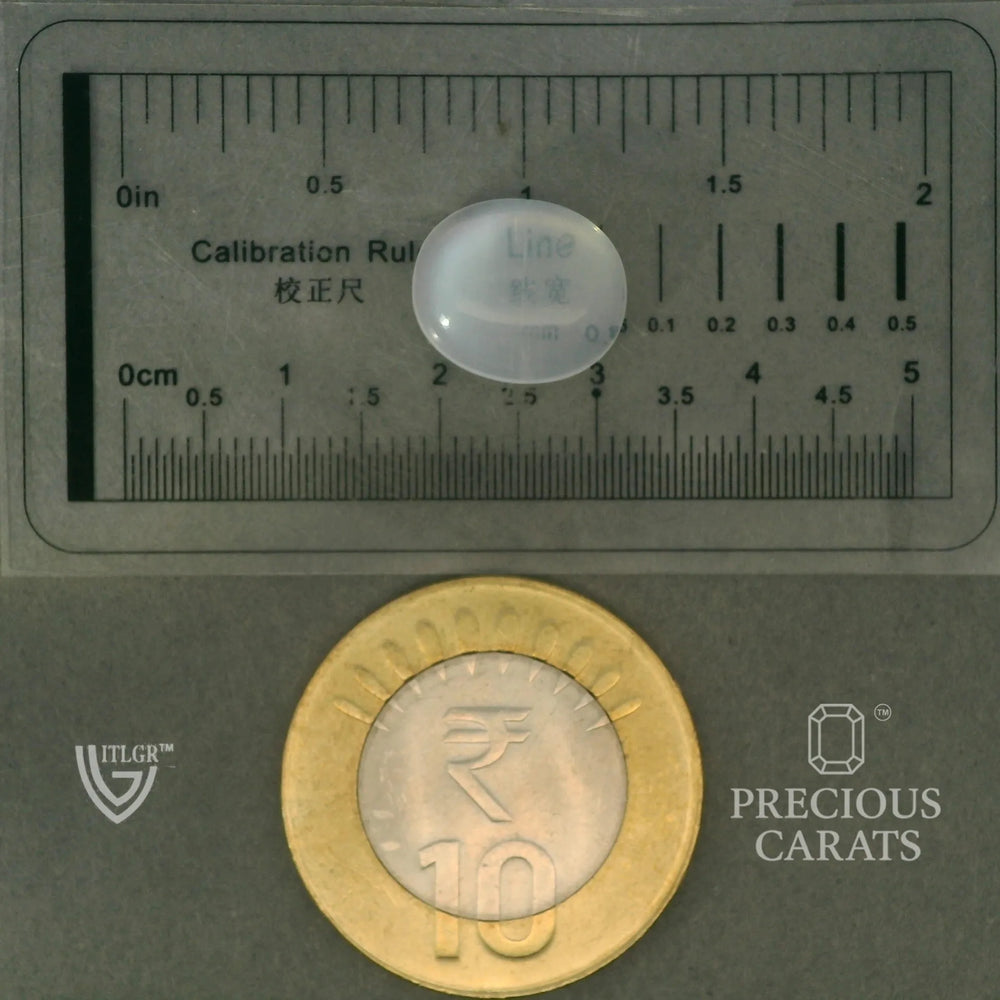 ITLGR_102069_SCALE.webp