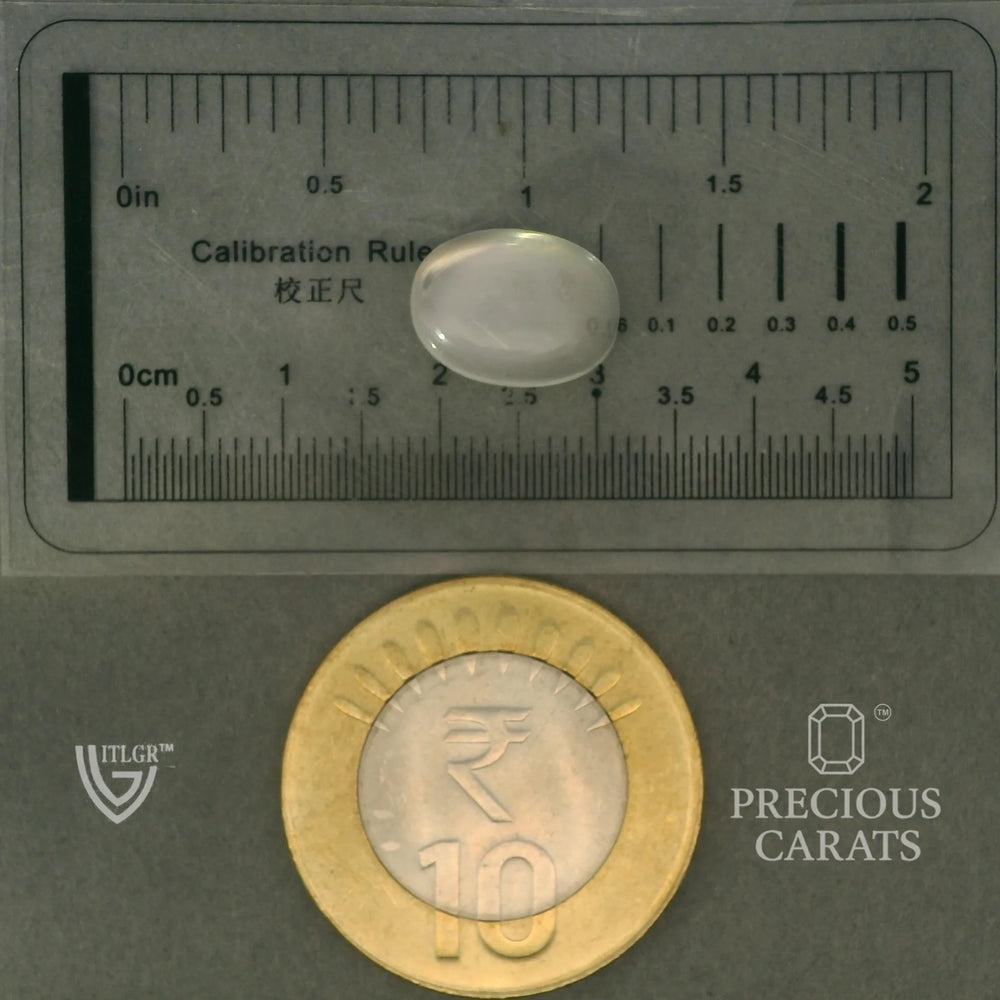 ITLGR_102072_SCALE.webp