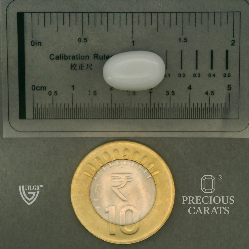 ITLGR_102077_SCALE.webp