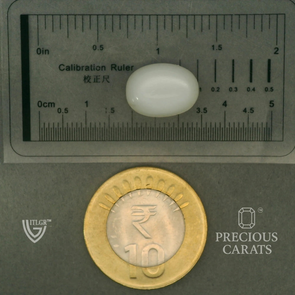 ITLGR_102084_SCALE.webp