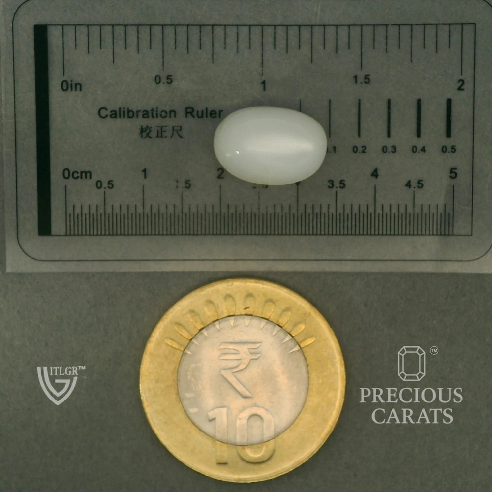 ITLGR_102085_SCALE.webp