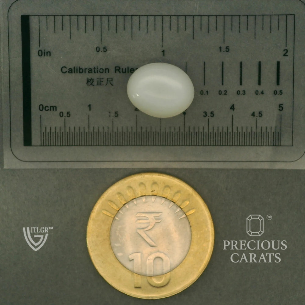 ITLGR_102087_SCALE.webp