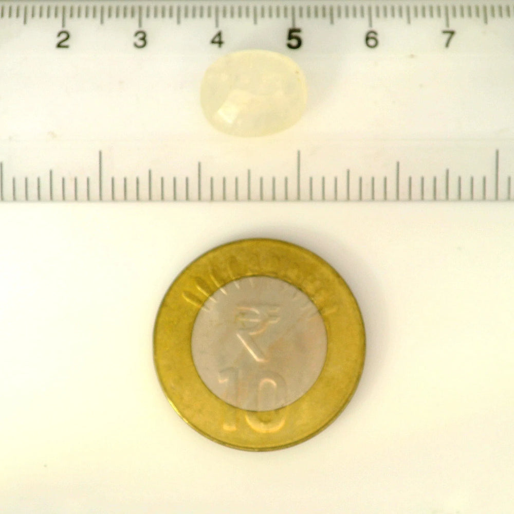 ITLGR_102247_SCALE.webp