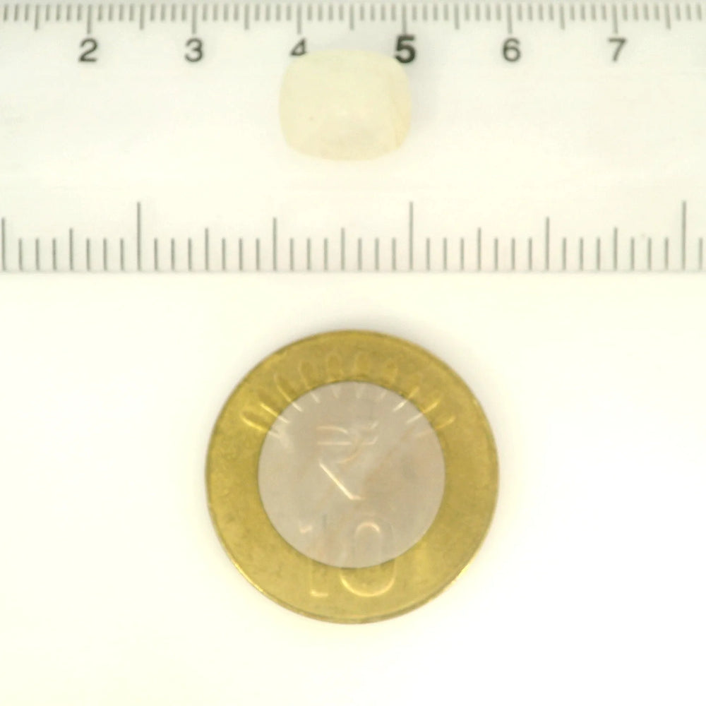 ITLGR_102253_SCALE.webp