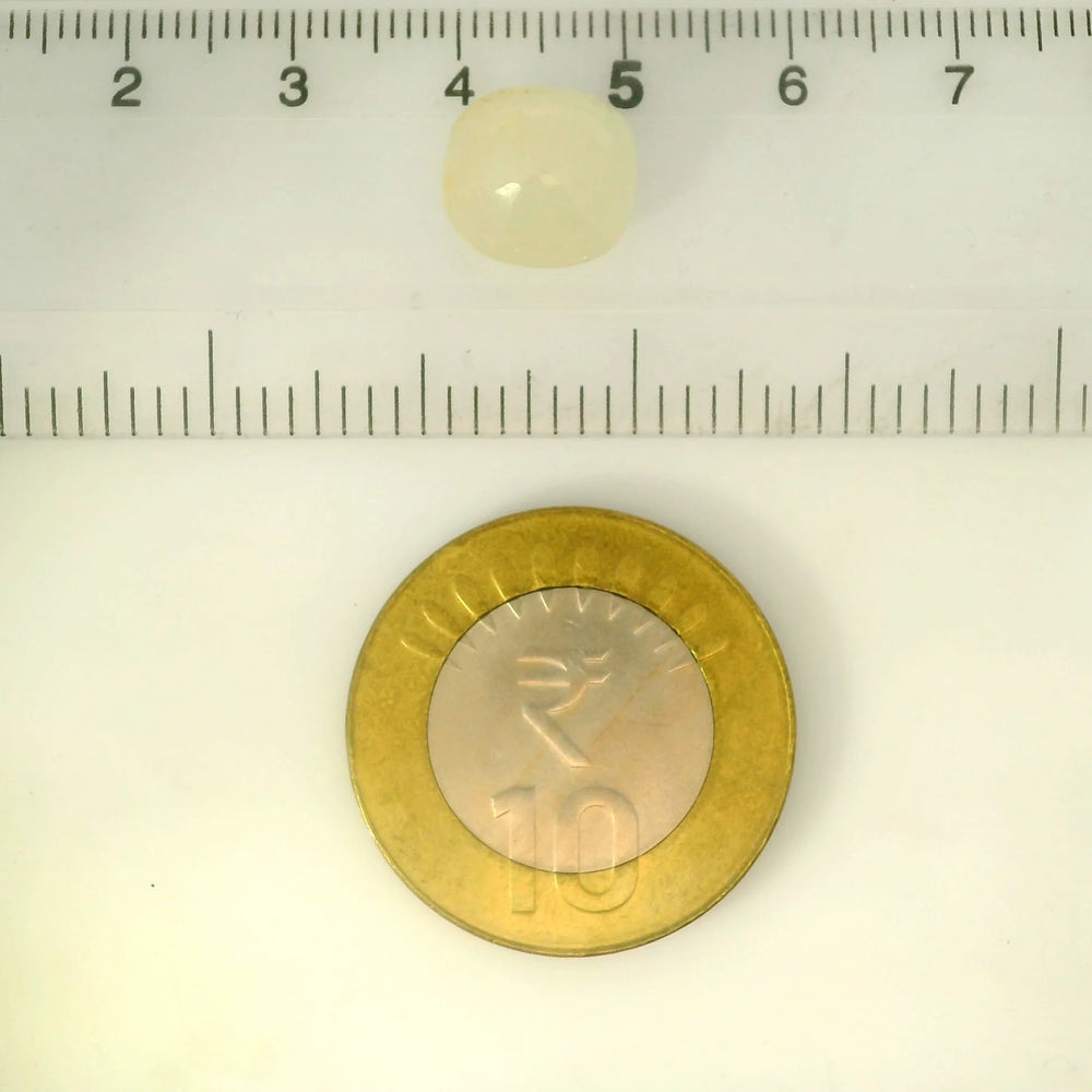ITLGR_102269_SCALE.webp